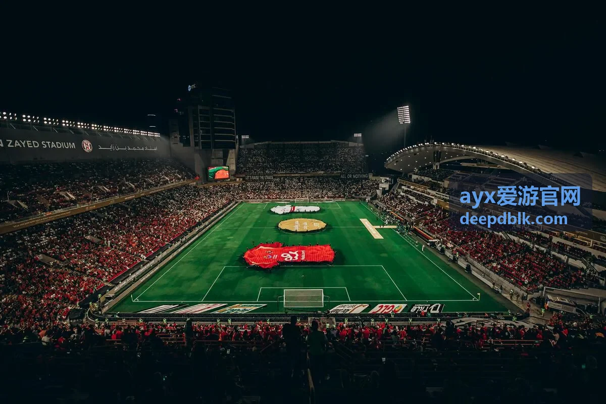 ayx爱游官网新手指引中的入口确认说明配图