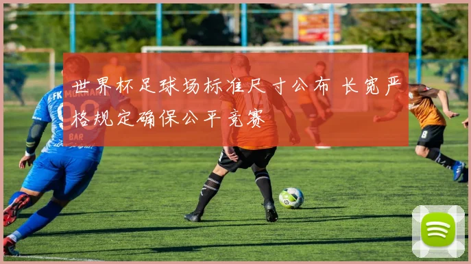 世界杯足球场标准尺寸公布 长宽严格规定确保公平竞赛
