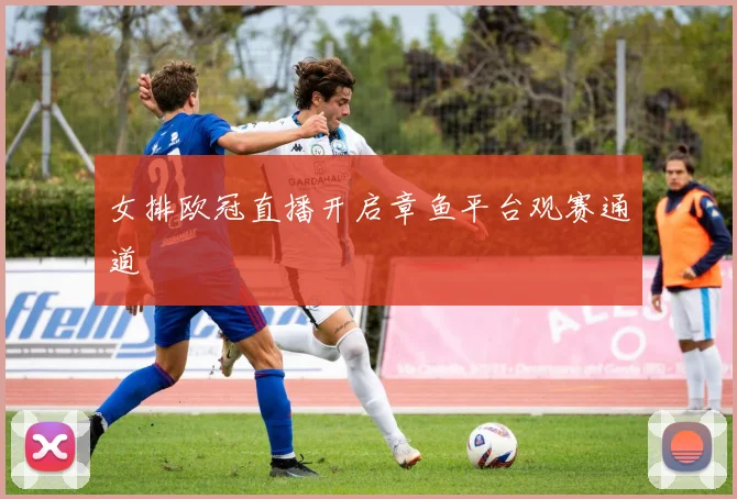 女排欧冠直播开启章鱼平台观赛通道