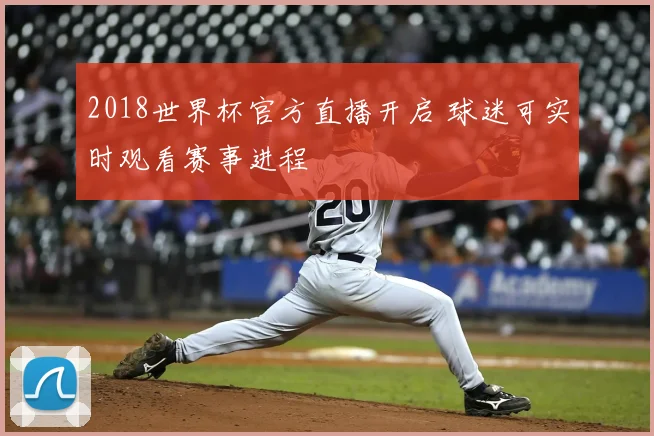 2018世界杯官方直播开启 球迷可实时观看赛事进程