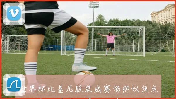 世界杯比基尼服装成赛场热议焦点,观赛氛围更显夏日风情